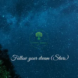 Follow Your Dream (Stars)