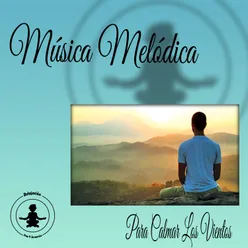 Necesito Meditar