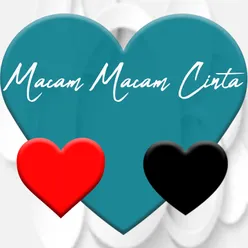 Macam Macam Cinta