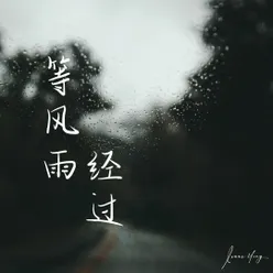 等風雨經過