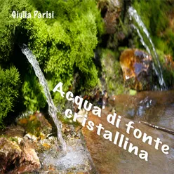 Acqua di fonte cristallina Versione strumentale