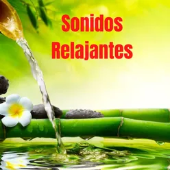 Sonidos Relajantes