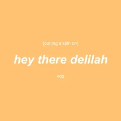 Putting a Spin on Hey There Delilah Piano Version