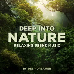 In the Depths of the Soul 528Hz Music