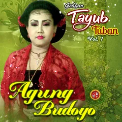 TAYUB AGUNG BUDOYO, Vol. 1