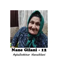 Nane Gilani - 12