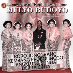 TAYUB MULYO BUDOYO, Vol. 4