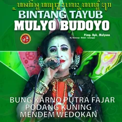 TAYUB MULYO BUDOYO, Vol. 6