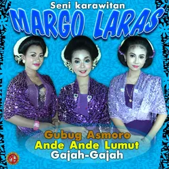 TAYUB MARGO LARAS, Vol. 1