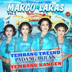 TAYUB MARGO LARAS, Vol. 2