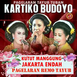 TAYUB KARTIKO BUDOYO, VOL.3