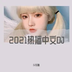 2021热播中文DJ