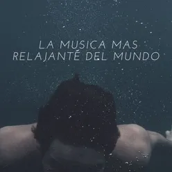 La Musica Mas Relajante del Mundo