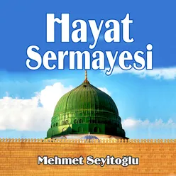 Hayat Sermayesi