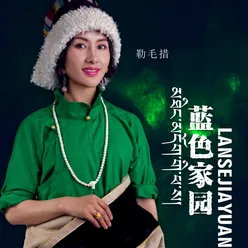 心中的花儿