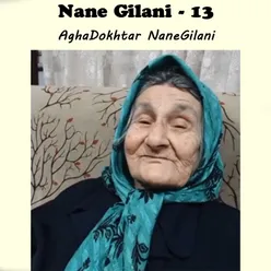 Nane Gilani - 13