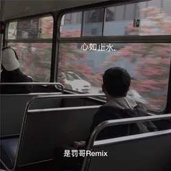 Wolves 是罚哥Remix