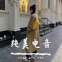 纯美电音