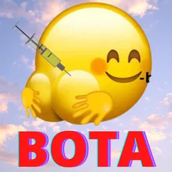 Bota