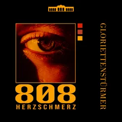 808 Herzschmerz