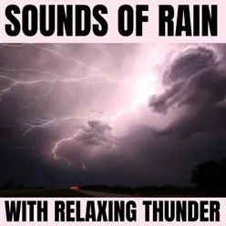 Relaxing Rain with Thunder