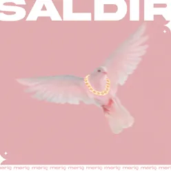 Saldır