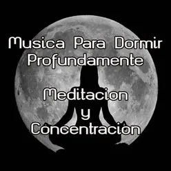 Musica Relajante Con Sonidos del Bosque, 10 Minutos de Relajación y Meditación