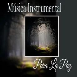 Música Instrumental para la Paz
