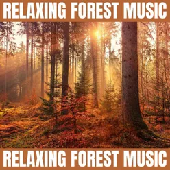 Forest Sounds