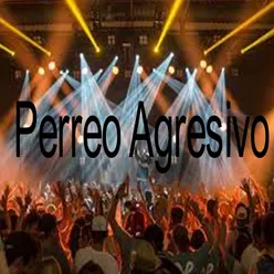 Perreo Agresivo