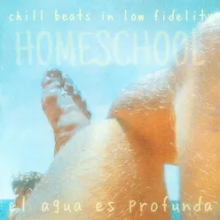 Chill Beats In Low Fidelity - Homeschool