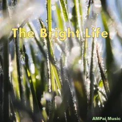 The Bright Life