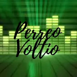 Perreo Voltio