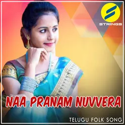 Naa Pranam Nuvvera