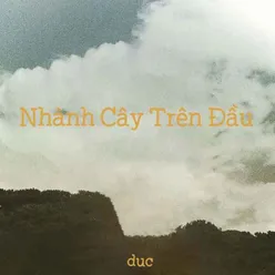 Nhành Cây Trên Đầu