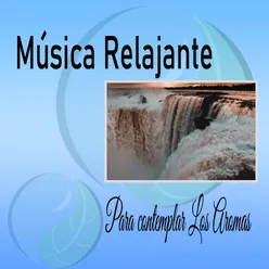 Relajación Con Música