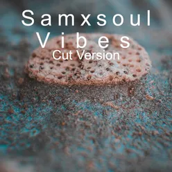 Vibes Cut Version