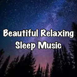 Beautiful Relaxing Sleep Music