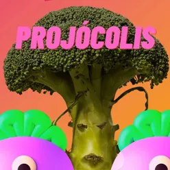 The Life of Projócolis