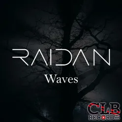 Raidan - Waves