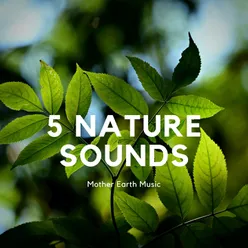 5 Nature Sounds