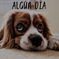 Algún Día