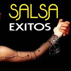 Salsa Exitos