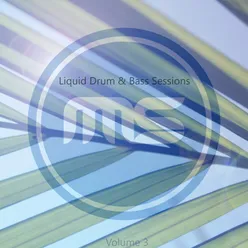 Liquid Drum and Bass Sessions Vol. 3