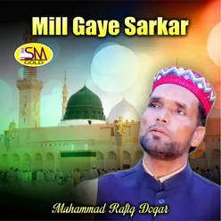 Mill Gaye Sarkar