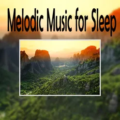 Melodic Music For Sle - EP
