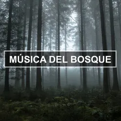 Música del Bosque