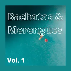 Bachatas & Merengues, Vol. 1