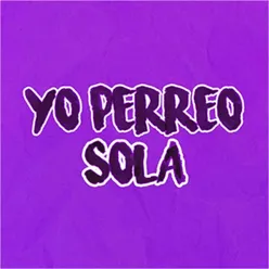 Yo Perreo Sola Remix