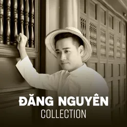 Đăng Nguyên Collection